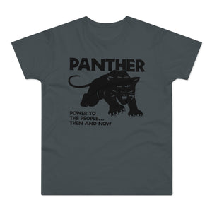 Black Panther T-Shirt (Heavyweight) - Soul-Tees.com